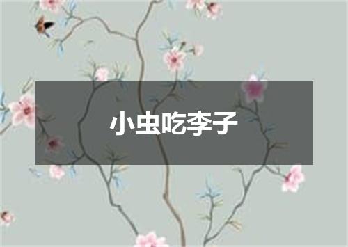 小虫吃李子