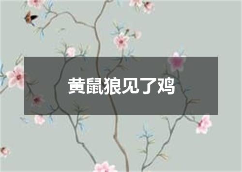 黄鼠狼见了鸡