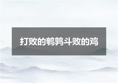 打败的鹌鹑斗败的鸡