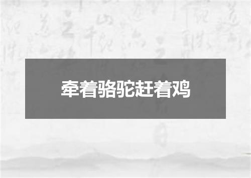 牵着骆驼赶着鸡