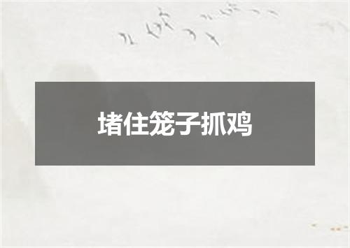堵住笼子抓鸡
