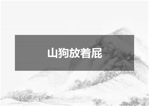山狗放着屁