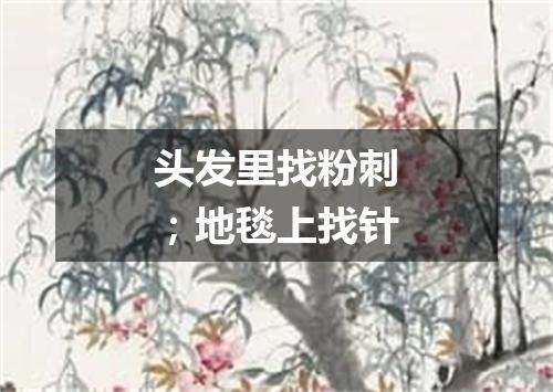头发里找粉刺；地毯上找针