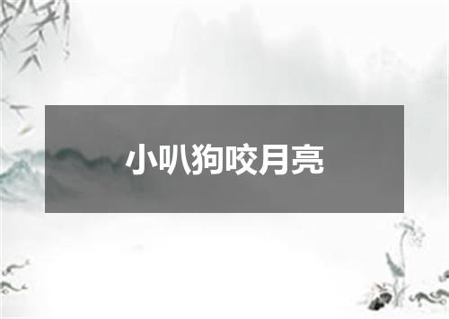 小叭狗咬月亮