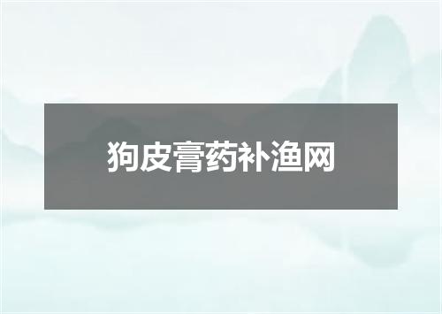 狗皮膏药补渔网