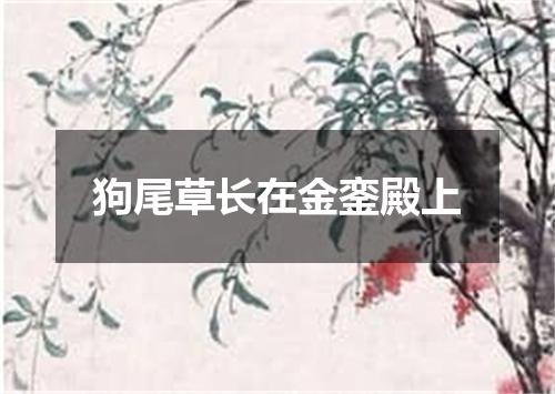狗尾草长在金銮殿上