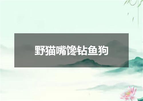 野猫嘴馋钻鱼狗