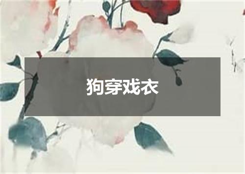 狗穿戏衣