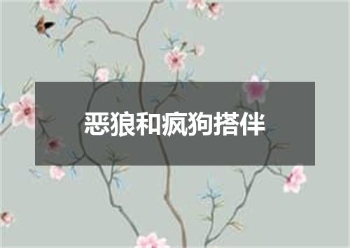 恶狼和疯狗搭伴