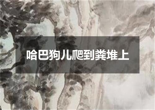 哈巴狗儿爬到粪堆上