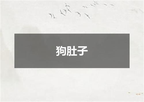 狗肚子
