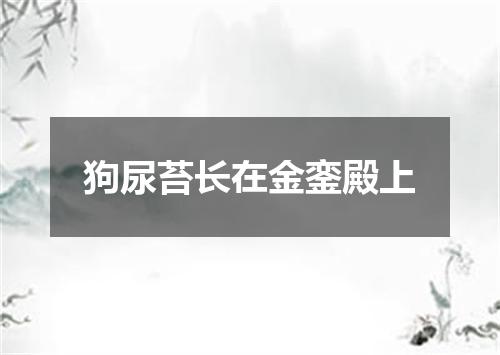 狗尿苔长在金銮殿上