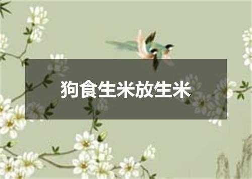 狗食生米放生米