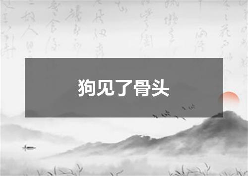 狗见了骨头