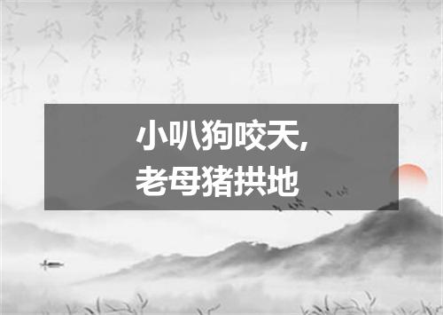 小叭狗咬天,老母猪拱地