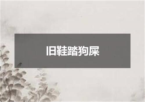 旧鞋踏狗屎
