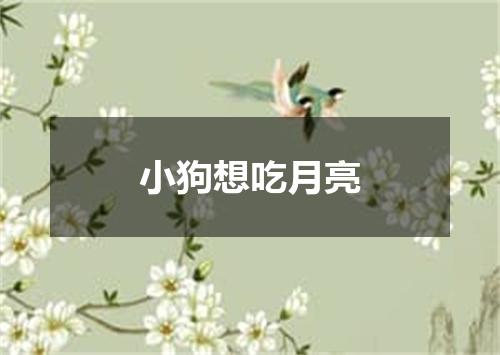 小狗想吃月亮