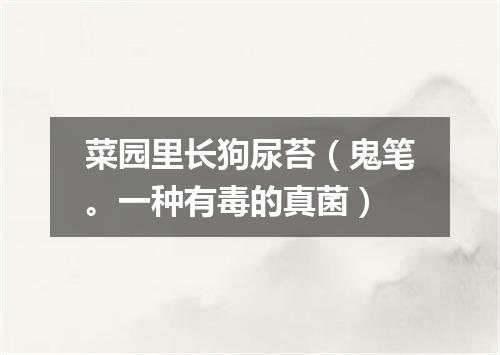菜园里长狗尿苔（鬼笔。一种有毒的真菌）