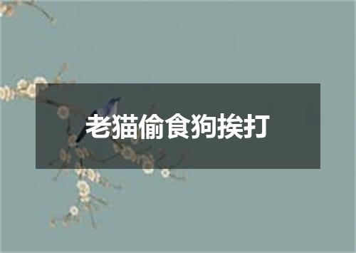 老猫偷食狗挨打