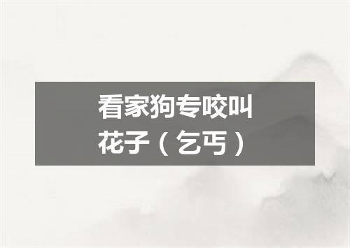 看家狗专咬叫花子（乞丐）