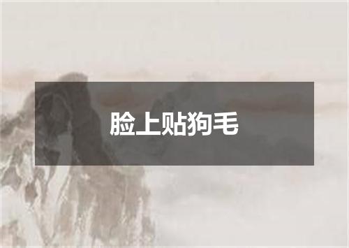 脸上贴狗毛