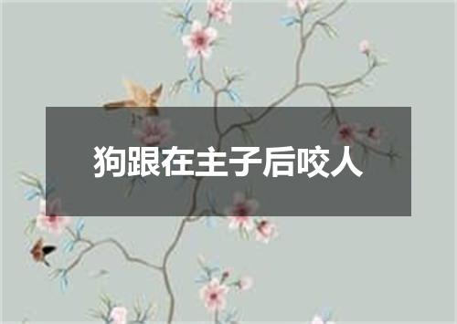 狗跟在主子后咬人