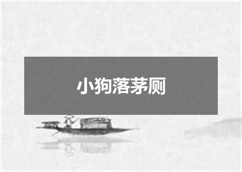 小狗落茅厕