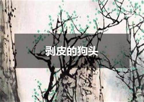 剥皮的狗头