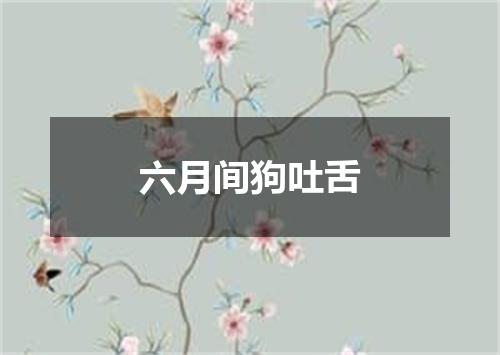 六月间狗吐舌