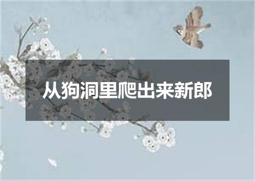 从狗洞里爬出来新郎