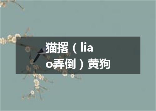 猫撂（liao弄倒）黄狗