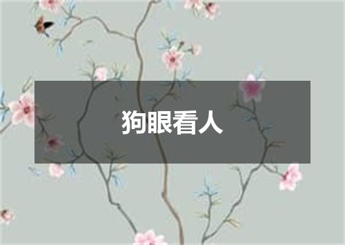 狗眼看人