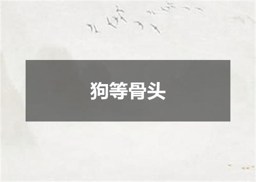 狗等骨头