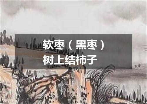 软枣（黑枣）树上结柿子