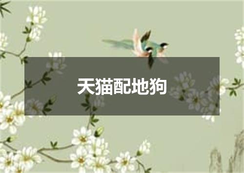 天猫配地狗
