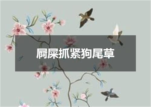 屙屎抓紧狗尾草