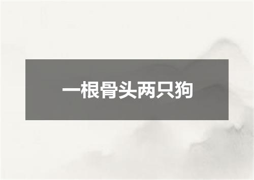 一根骨头两只狗
