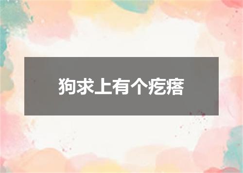 狗求上有个疙瘩