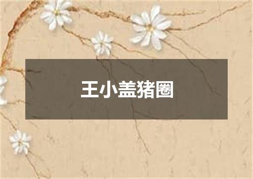 王小盖猪圈