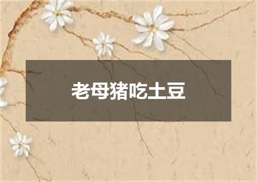 老母猪吃土豆
