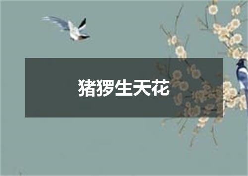 猪猡生天花