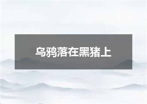 乌鸦落在黑猪上
