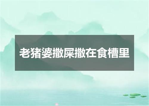 老猪婆撒屎撒在食槽里