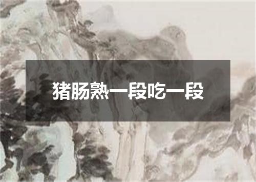 猪肠熟一段吃一段