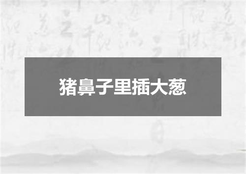 猪鼻子里插大葱
