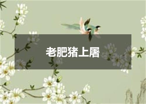 老肥猪上屠