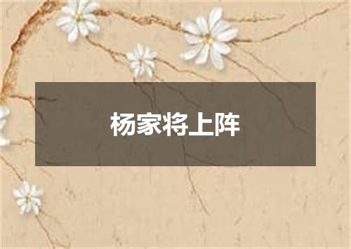杨家将上阵