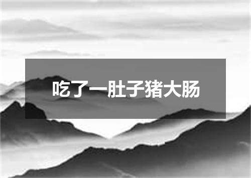 吃了一肚子猪大肠