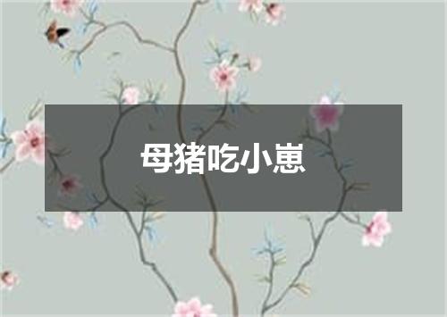 母猪吃小崽