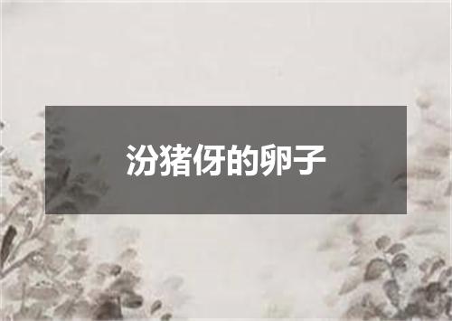 汾猪伢的卵子